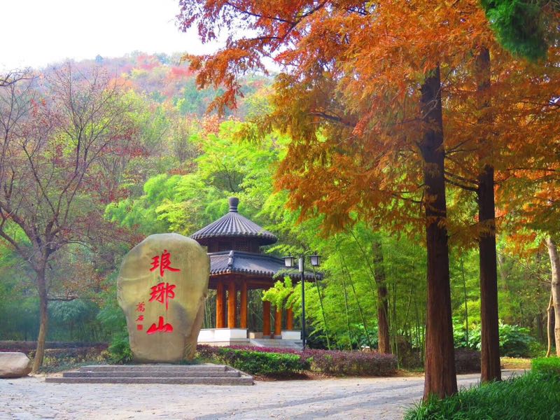 皖东休闲互动二日游-琅琊山、南太仆寺、飞越丛林、花博园